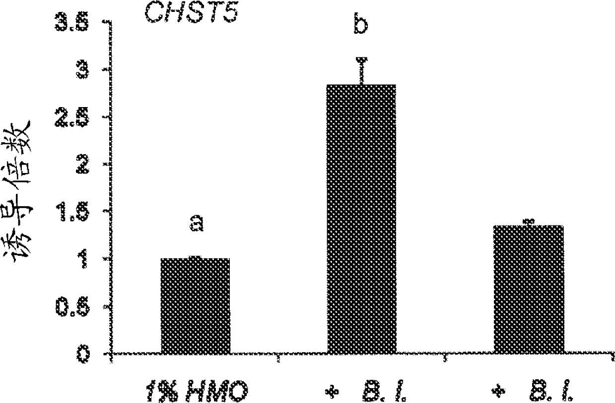 Human Milk Oligosaccharides For Preventing Injury And/Or Promoting Healing Of The Gastrointestinal Tract