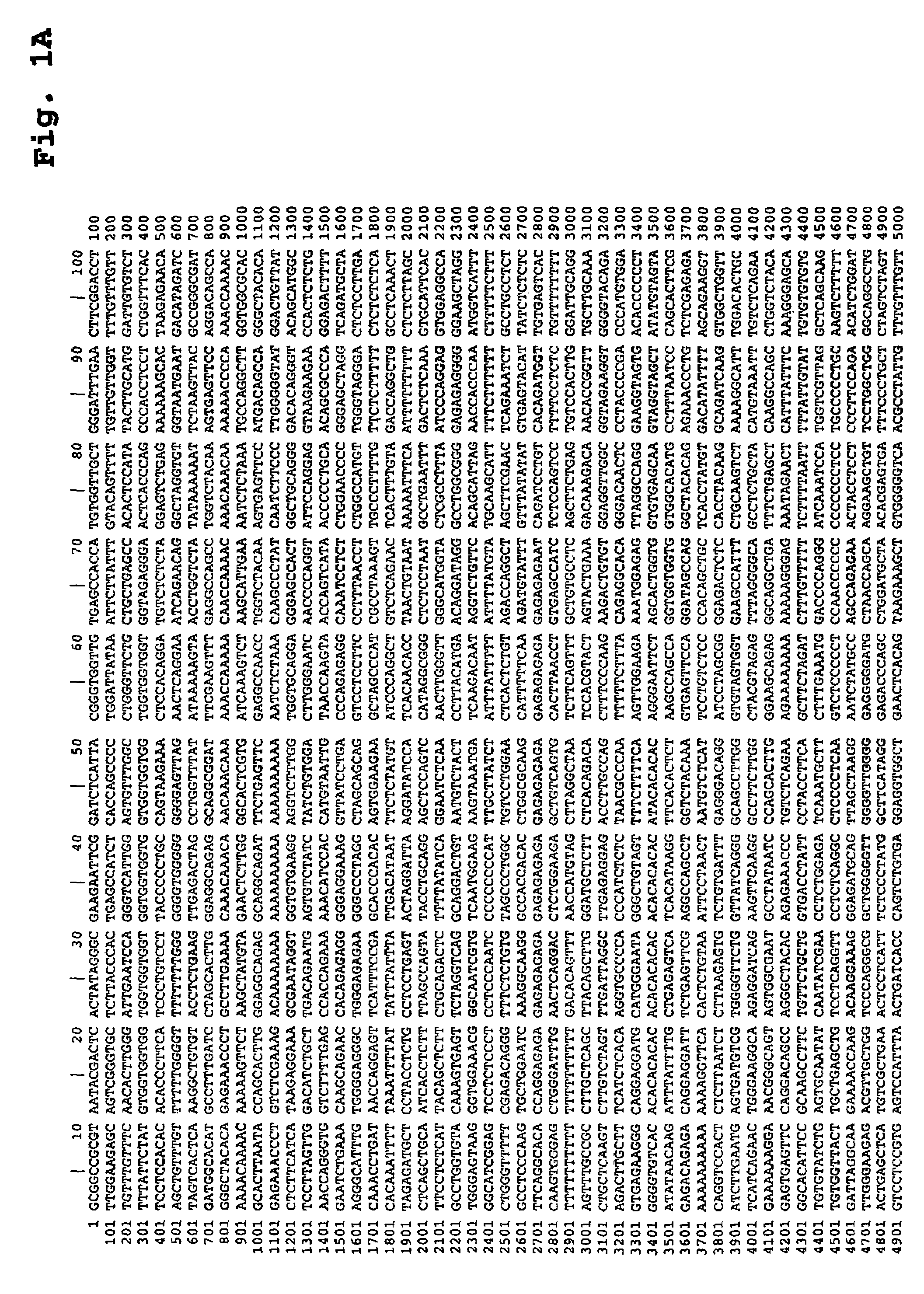 Compositions for the derivation of germ cells from stem cells and methods of use thereof