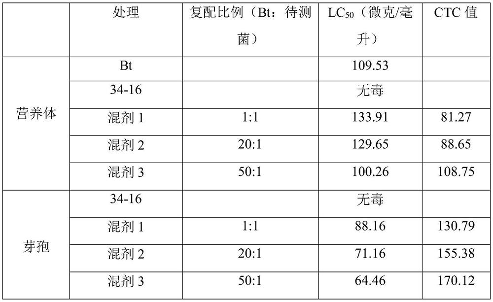 Sugar-increasing and color-increasing insecticidal composite bacterial fertilizer for sugar-core Fuji apples and preparation method thereof