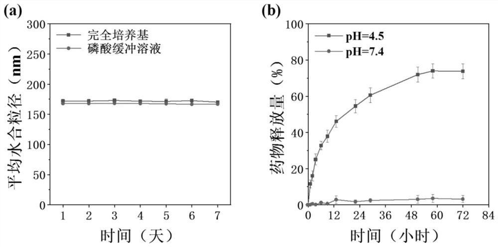 A kind of targeted pharmaceutical composition and application thereof loaded with amphotericin b and doxorubicin