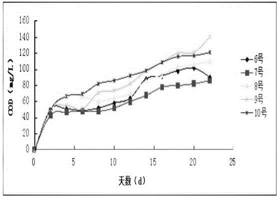 Carbon release material for remedying underground water nitrate nitrogen pollution and preparation method of carbon release material
