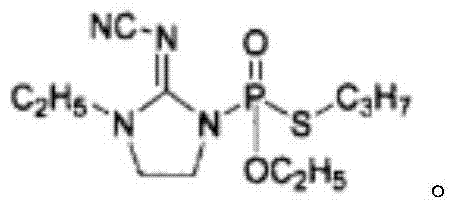 Insecticidal composition containing sophocarpidine