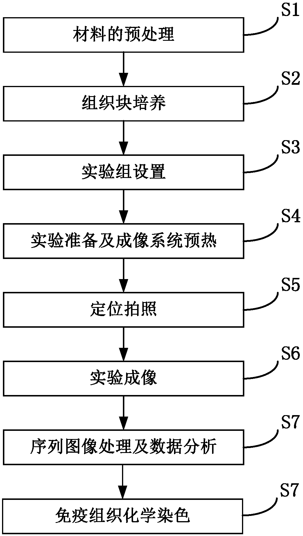 Method for detecting sensitization of cosmetics components by ultra-weak biophoton imaging system