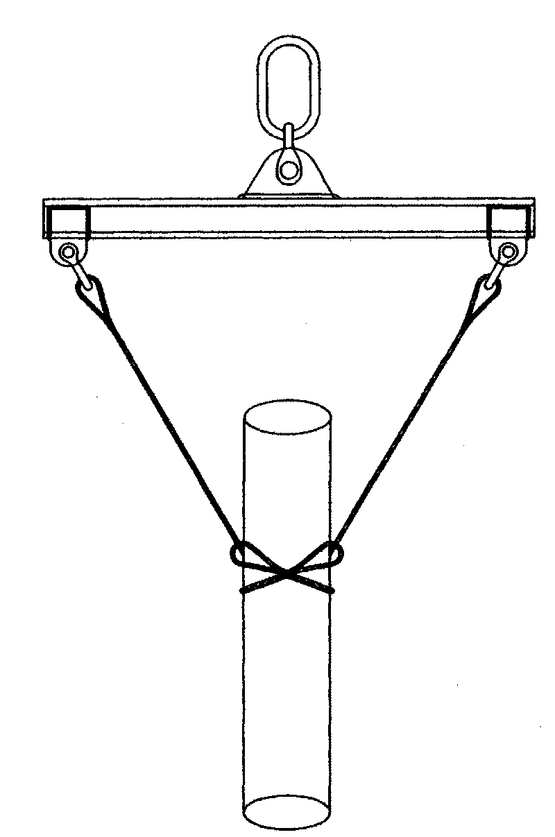 Hoisting rigging device