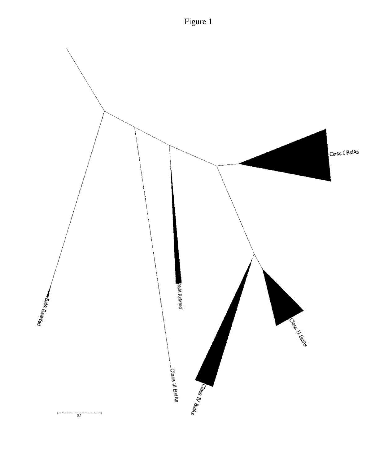 Cleaning composition