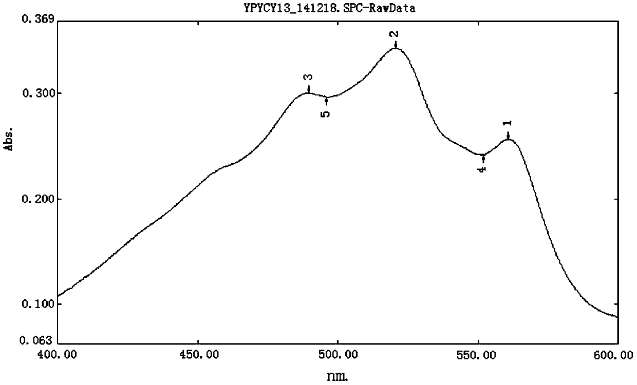 Compound Ilex purpurea hassk ointment as well as preparation method and detection method thereof