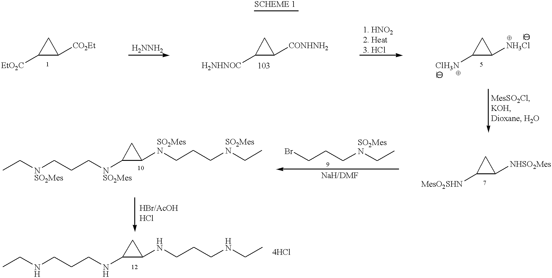 Conformationally restricted polyamines