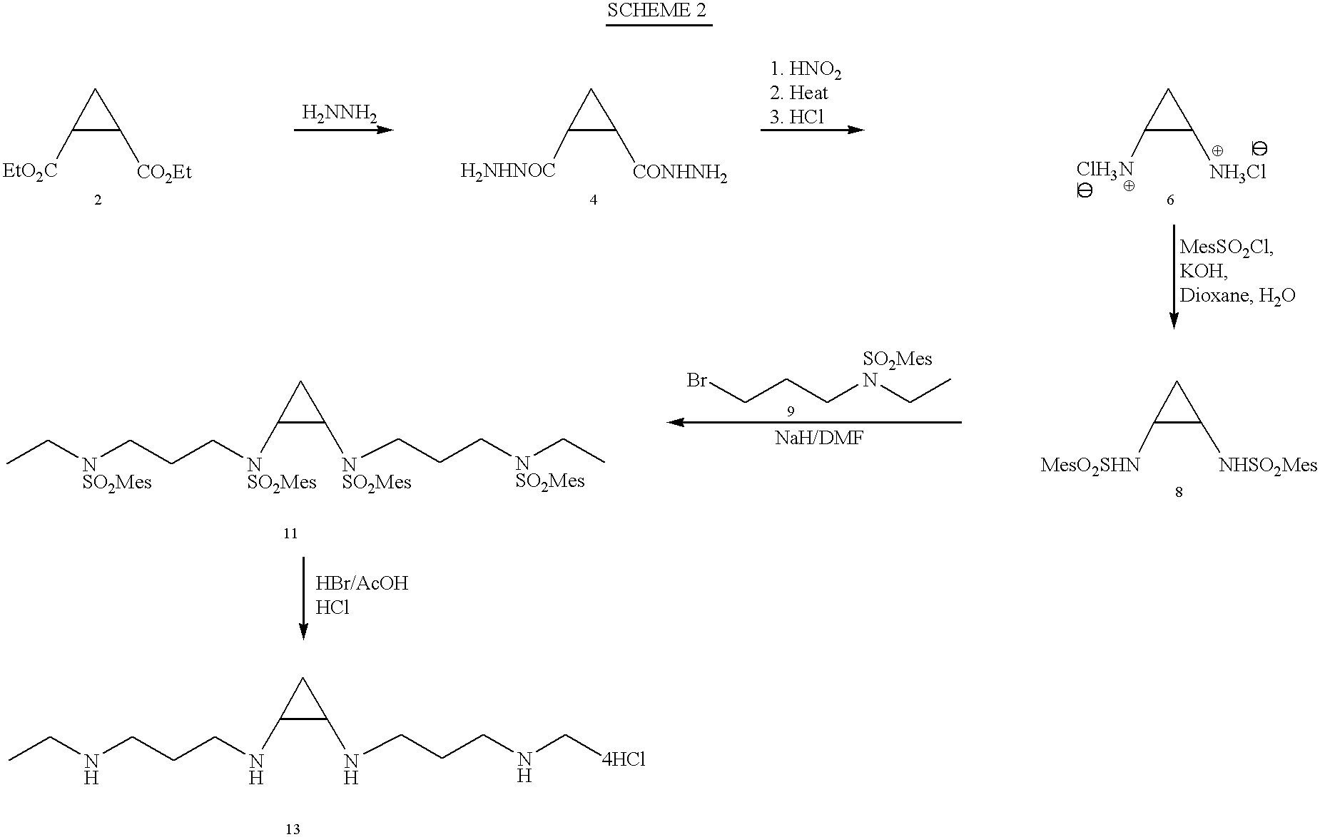 Conformationally restricted polyamines