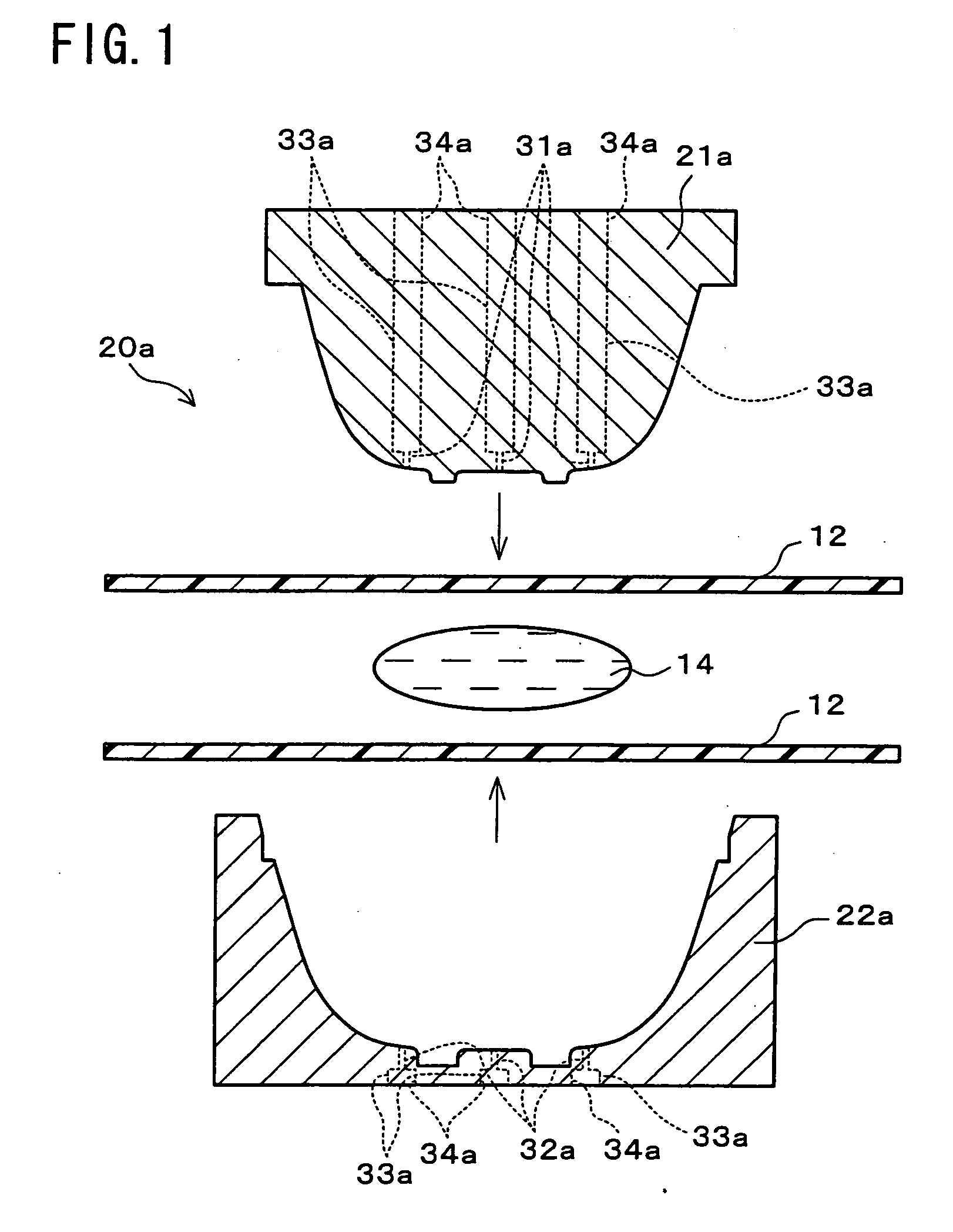 Process for producing biodegradable molded item and molding dies therefor