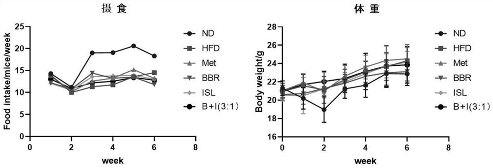 Pharmaceutical composition and application thereof in preparing medicine for improving insulin resistance and reducing blood sugar