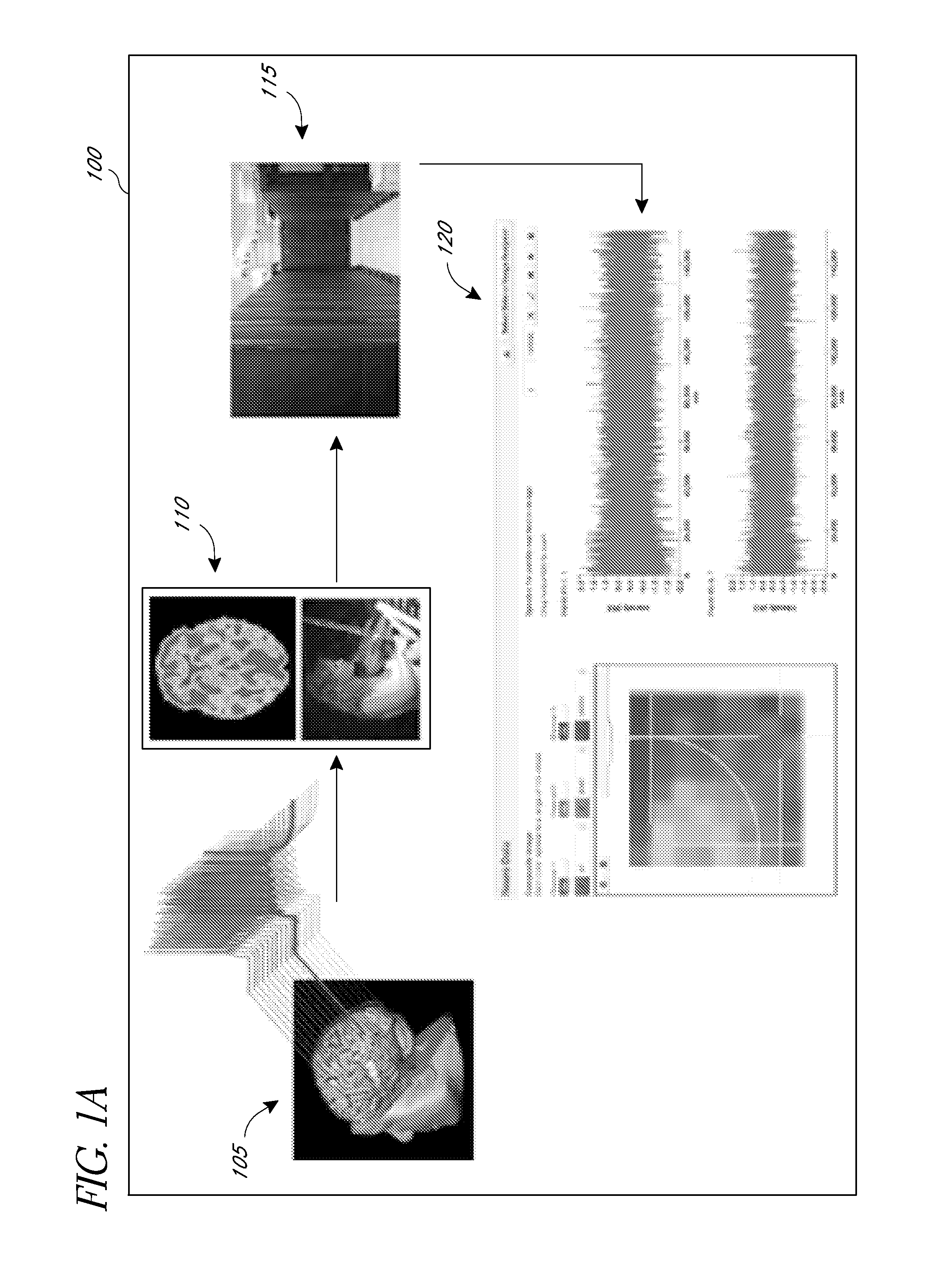 System and method of managing large data files