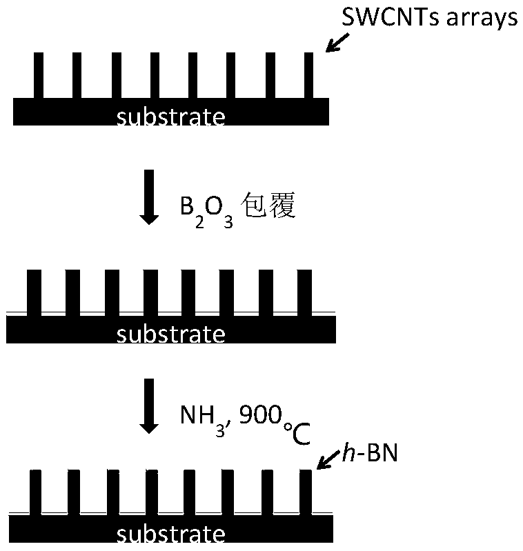 Boron nitride-coated carbon nanotube, and preparation method and application thereof