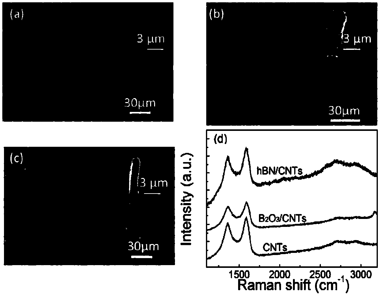 Boron nitride-coated carbon nanotube, and preparation method and application thereof