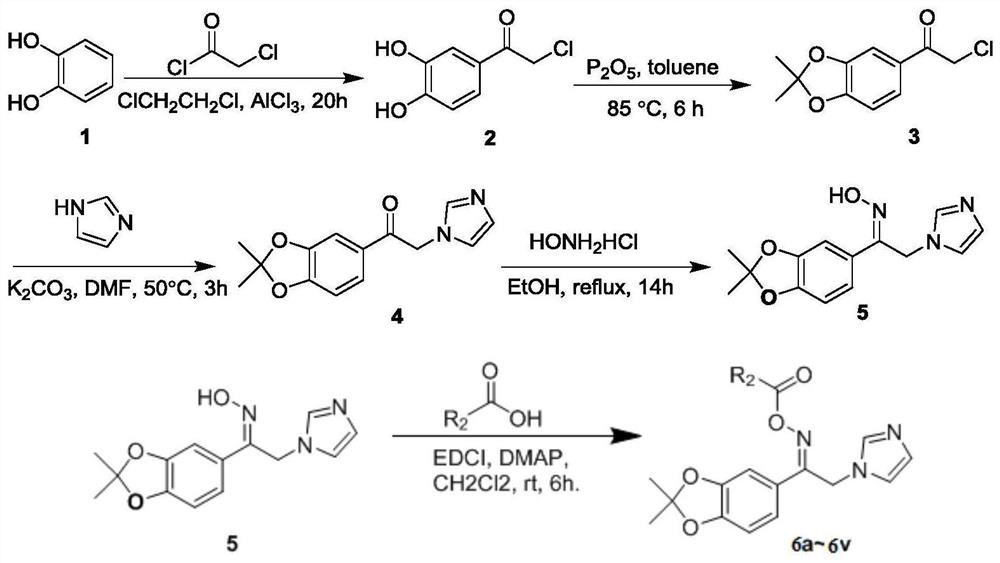 A class of acetophenone oxime ester imidazole derivatives and preparation method and application thereof