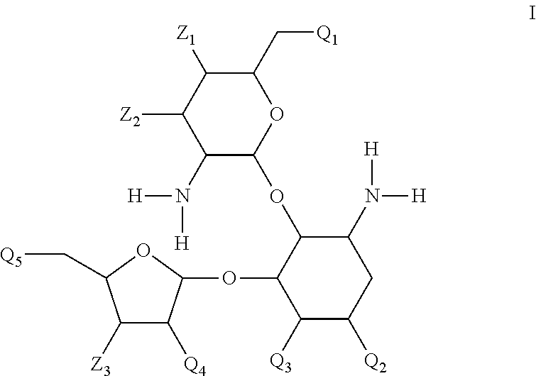 Antibacterial 4,5-substituted aminoglycoside analogs having multiple substituents