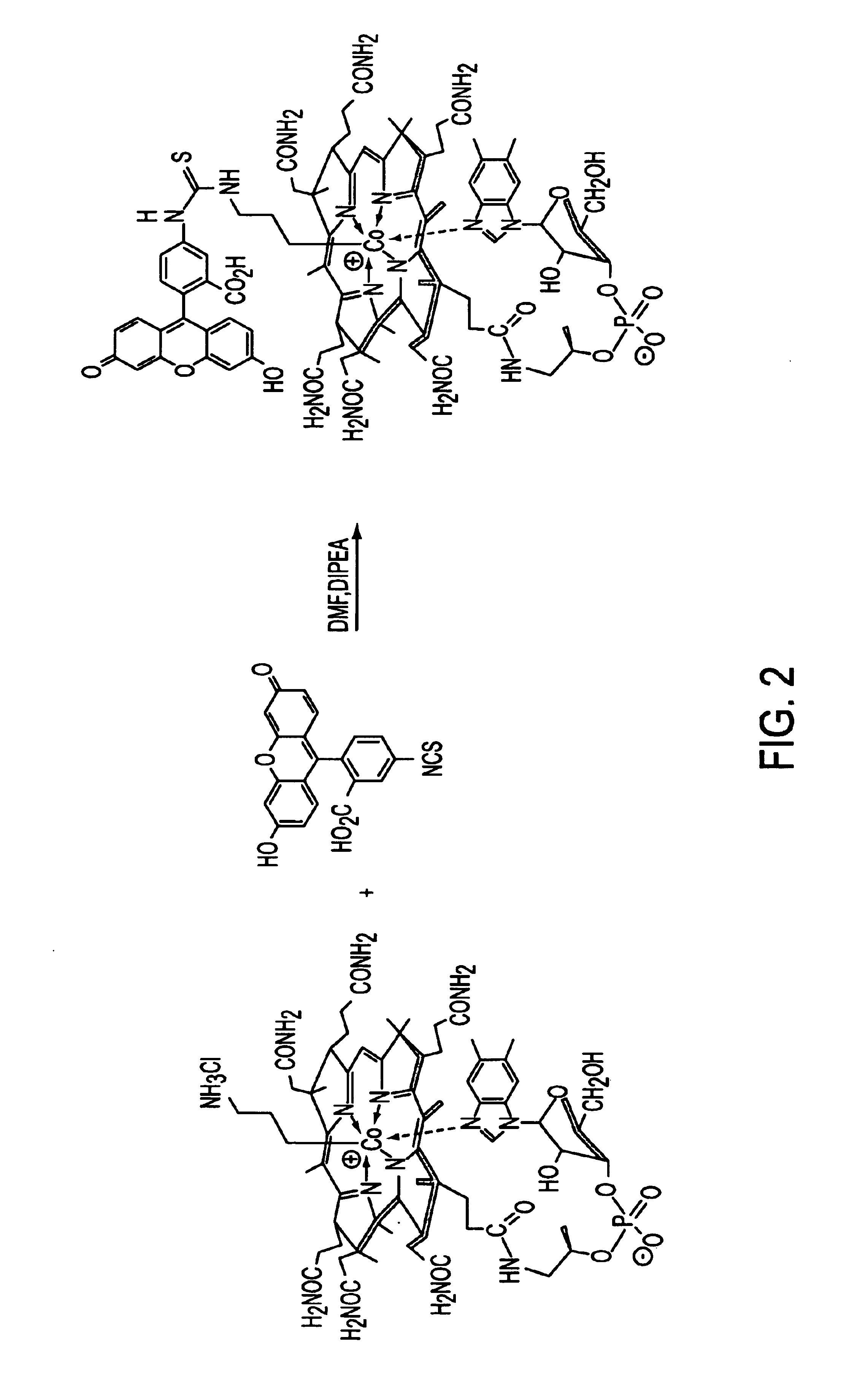 Fluorescent cobalamins and uses thereof