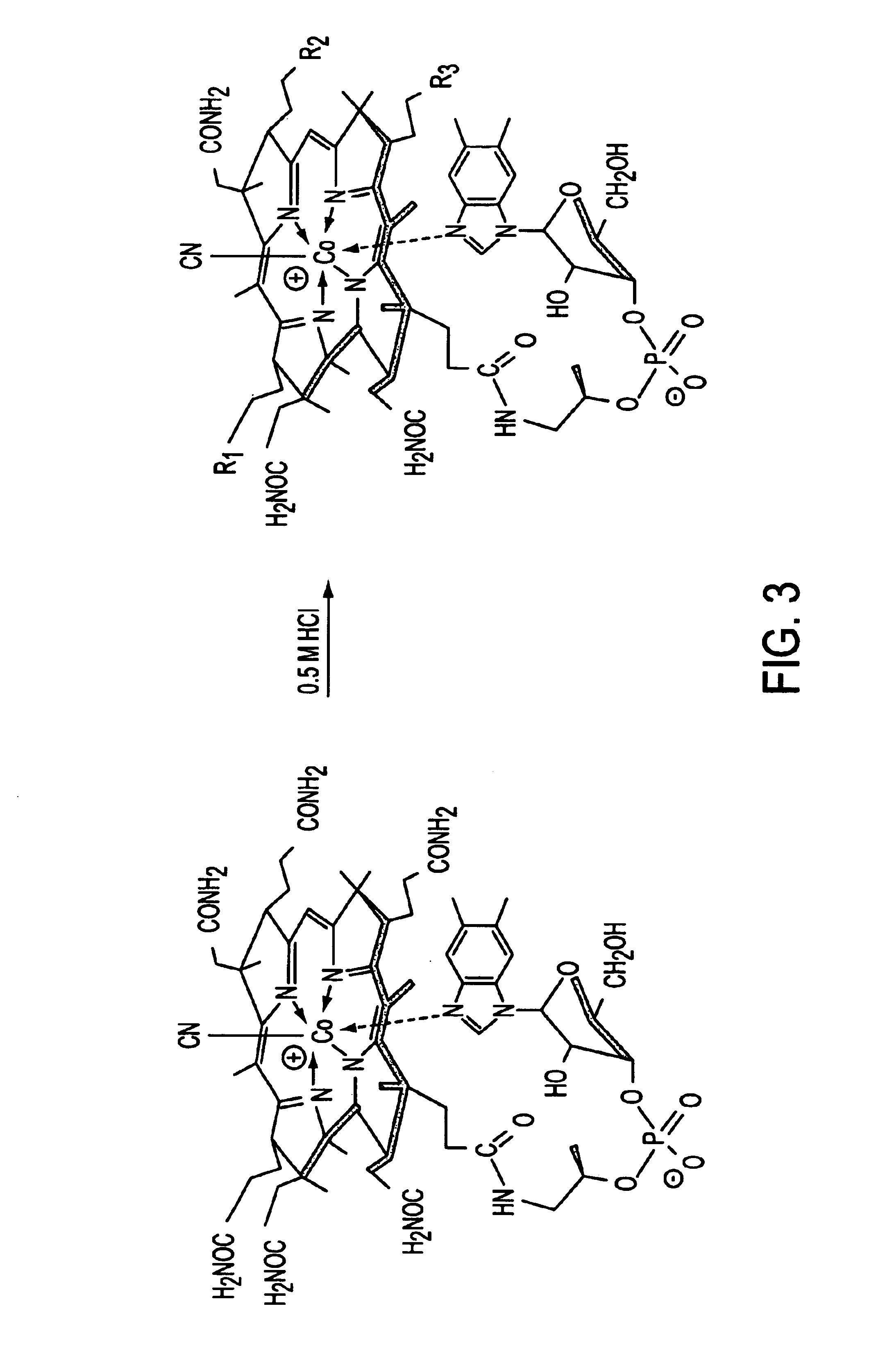 Fluorescent cobalamins and uses thereof