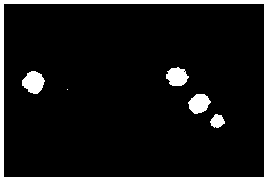 Bacillus pumilus S9 for preventing and treating rice blast