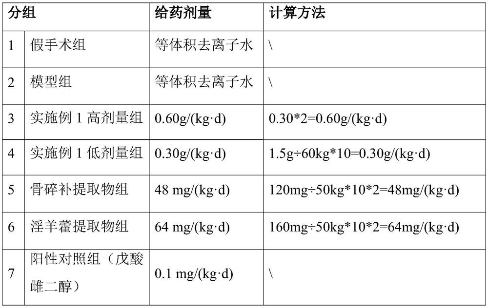 Traditional Chinese medicine composition for preventing and treating osteoporosis and preparation method thereof