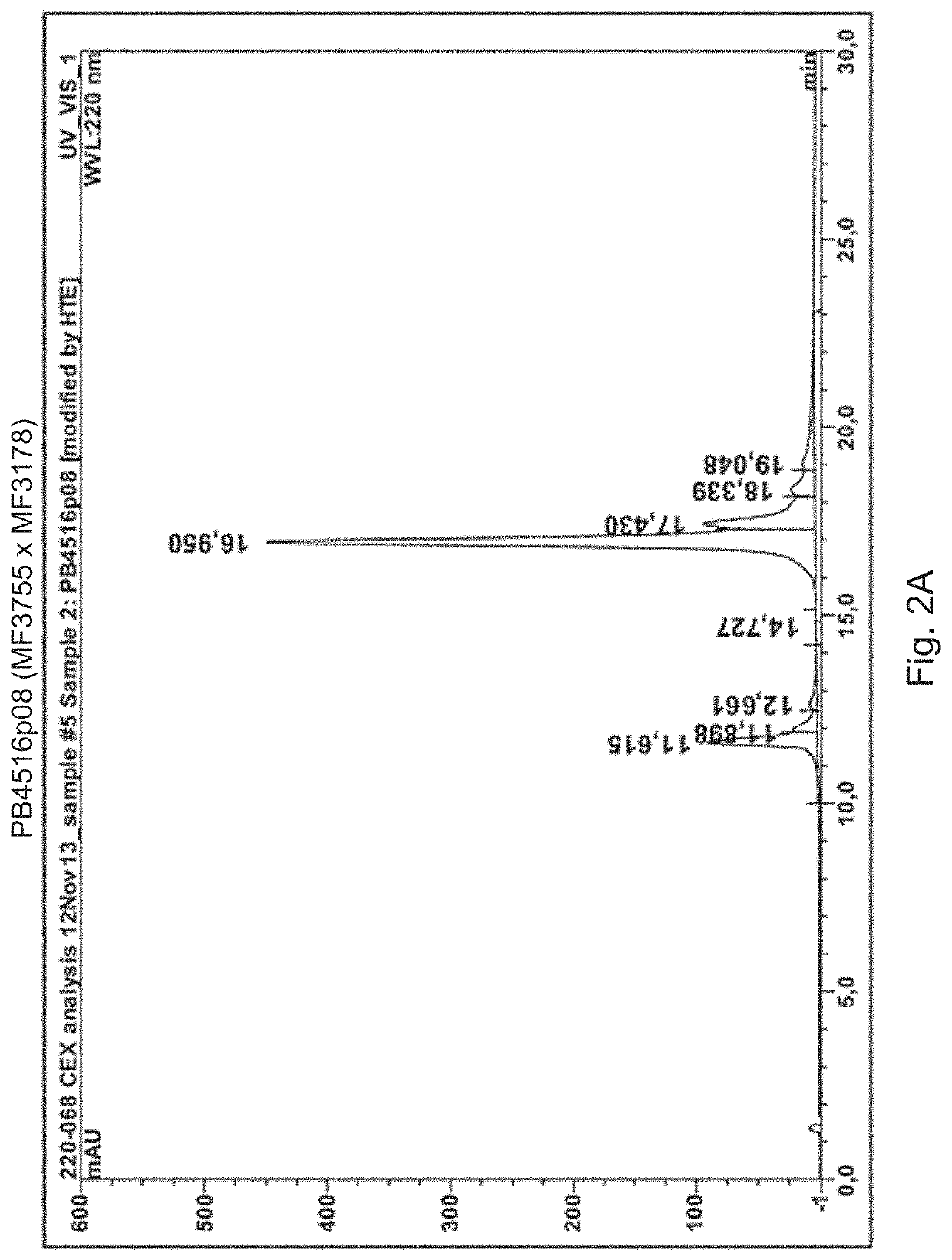 Producing compositions comprising two or more antibodies