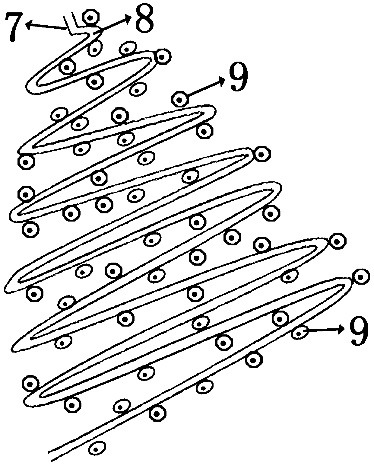 A kind of capillary network and its preparation method