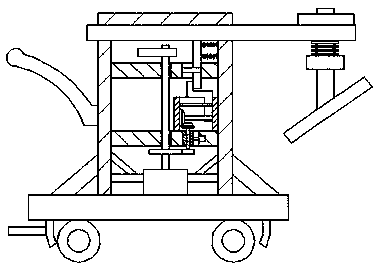 Special tamping device for road slope