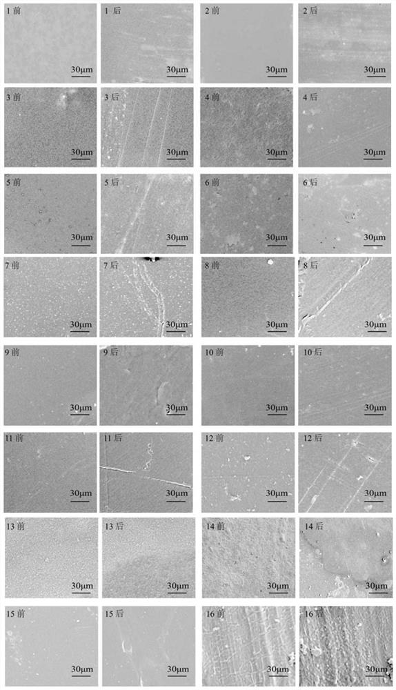 Protein/Polysaccharide Composite Nanofilm and Its Application to Prevent Cracks in Conductive Coatings