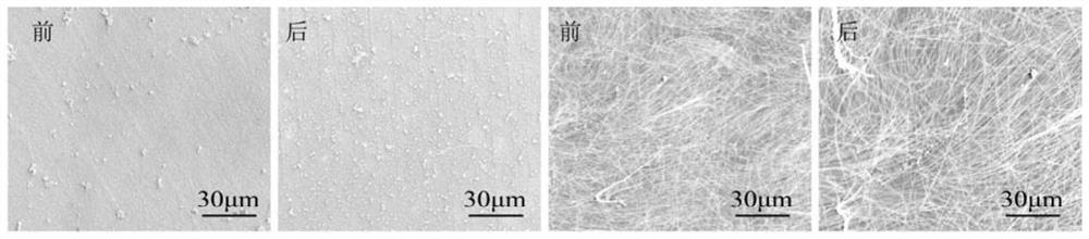Protein/Polysaccharide Composite Nanofilm and Its Application to Prevent Cracks in Conductive Coatings