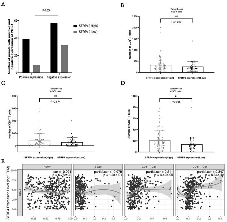 Application of SFRP4 as gastric cancer prognosis marker