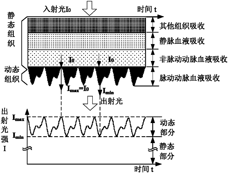 A sine wave modulated photoplethysmography measuring device and measuring method