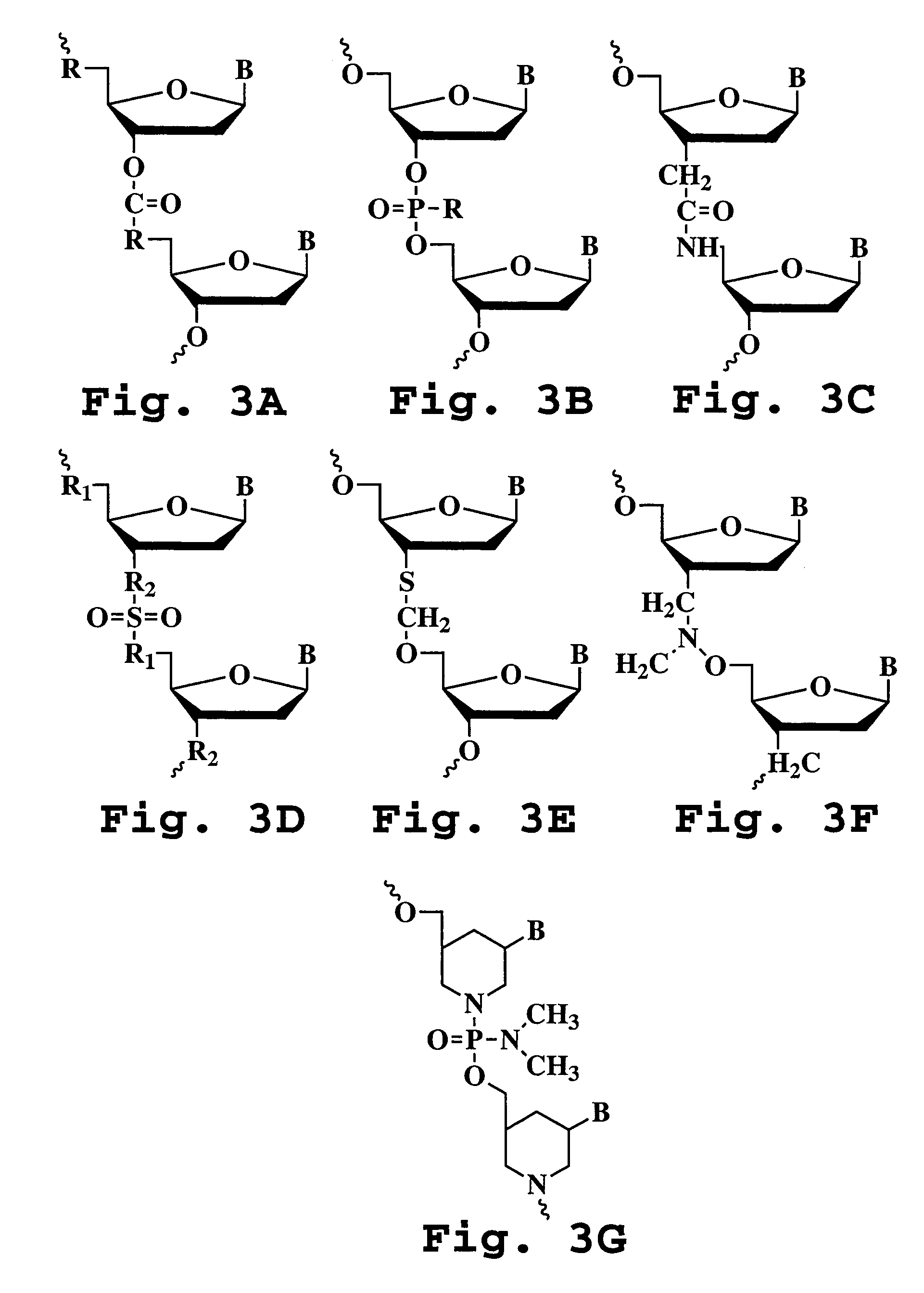 Antisense antibacterial method and composition