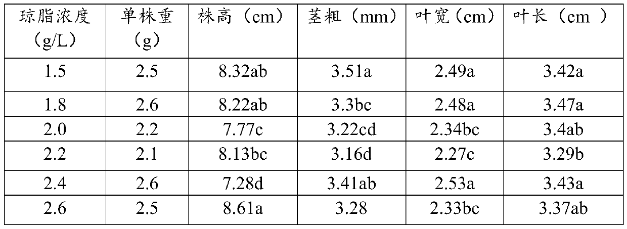 Plant non-solid tissue culture medium and plant non-solid tissue culture method