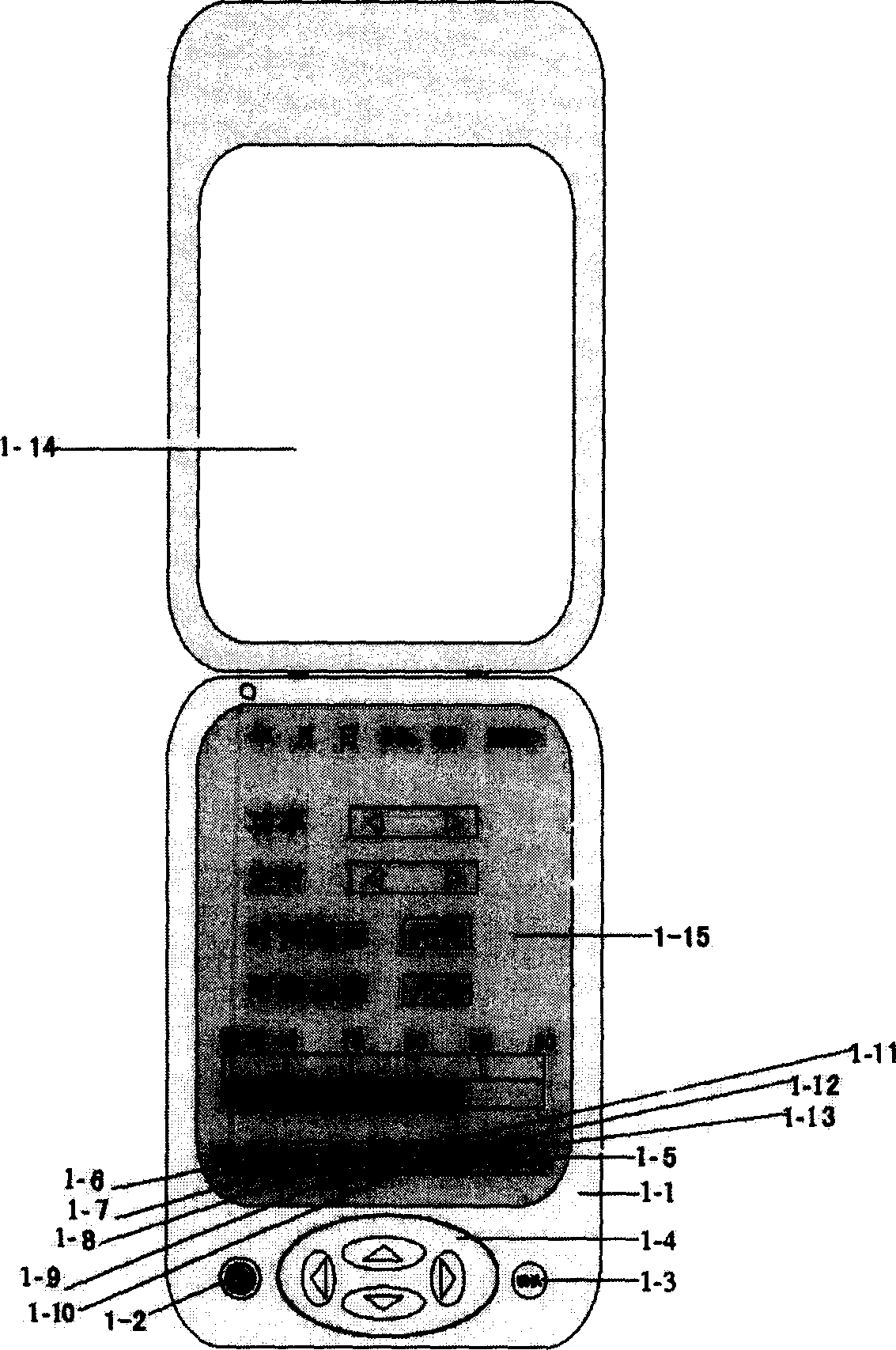 Laser therapeuntic apparatus and method of application