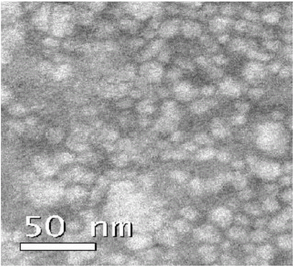 Broad-spectrum antiparasitic drug nano-emulsion and preparation method thereof
