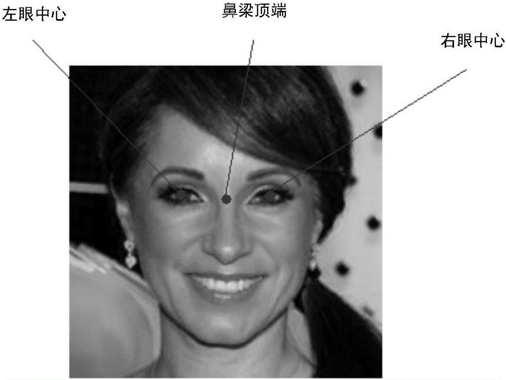 Face identification method and face identification system