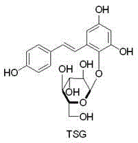 A kind of separation and purification process of tetrahydroxystilbene glycoside