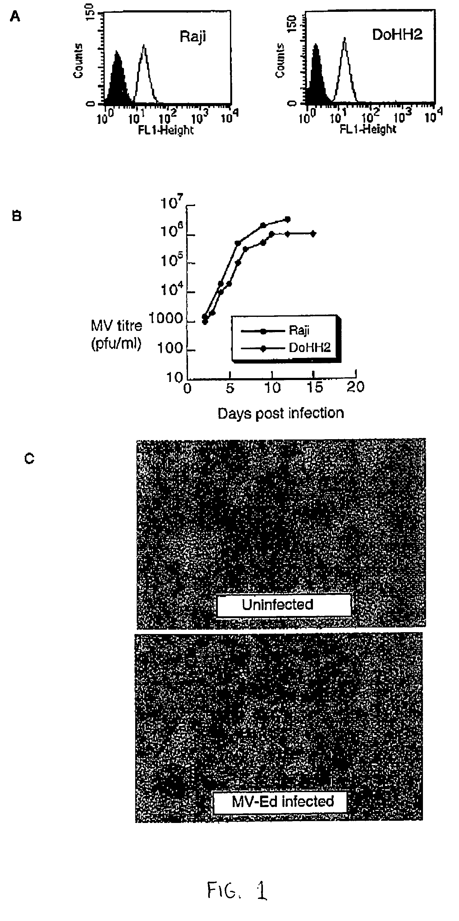 Method for limiting the growth of cancer cells using an attenuated measles virus
