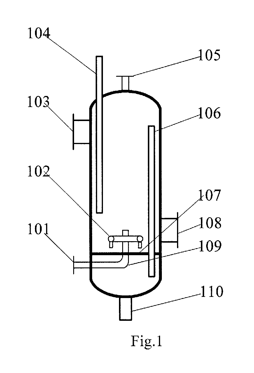 Fluidized bed reactor and method for preparing polyoxymethylene dimethyl ethers from dimethoxymethane and paraformaldehyde
