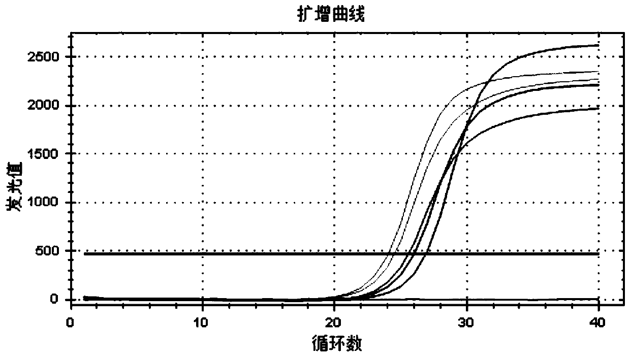 Gene polymorphism detection primer set, kit and detection method of caffeine metabolic capacity related gene CYP1A2