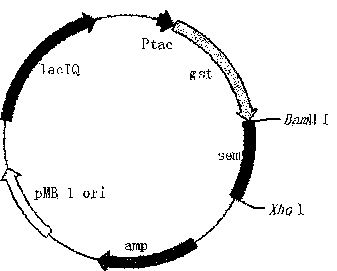 Recombinant staphylococcus aureus enterotoxin M and its preparation and application