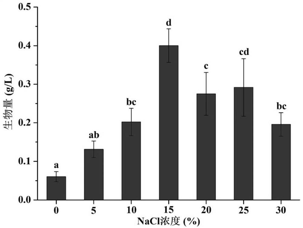 Method for improving flavor of rapidly-fermented fish sauce by using salted tetragonococcus