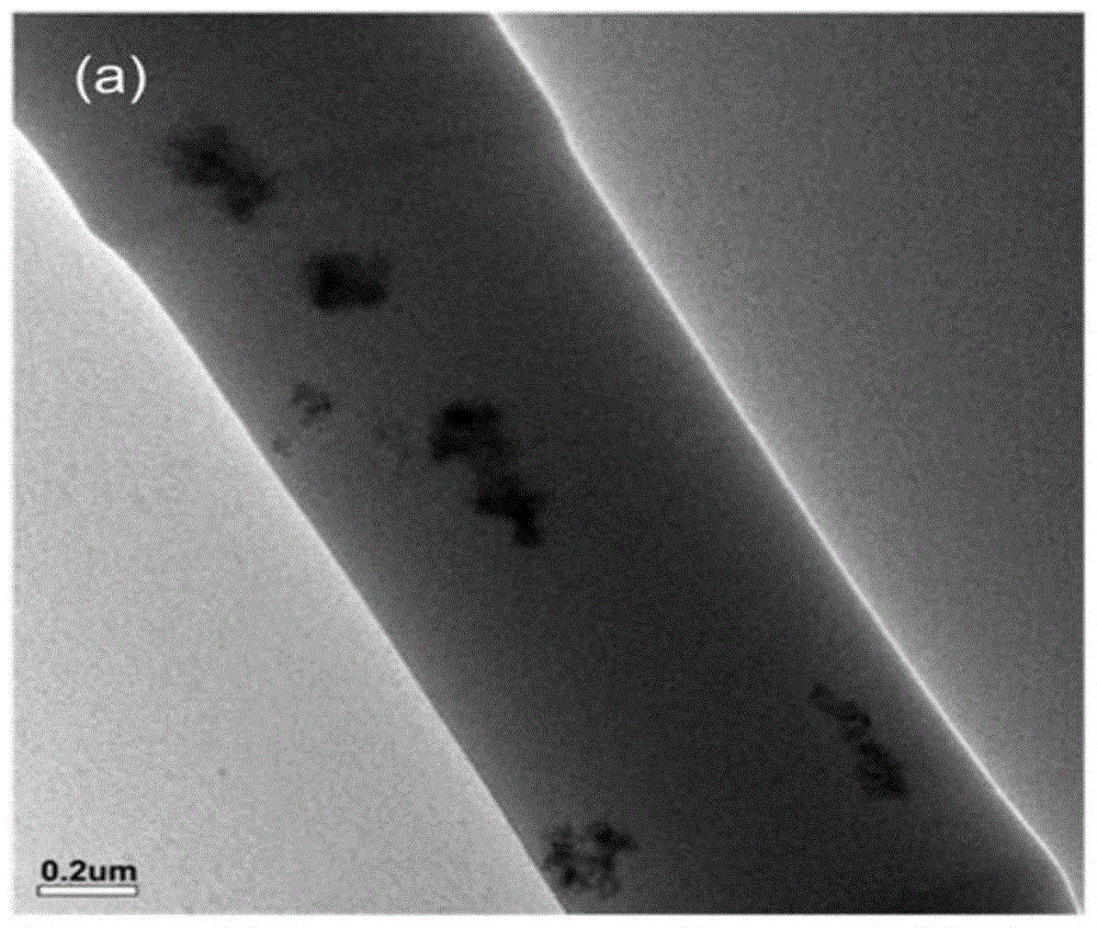 A kind of preparation method of antibacterial polyethylene terephthalate composite fiber film