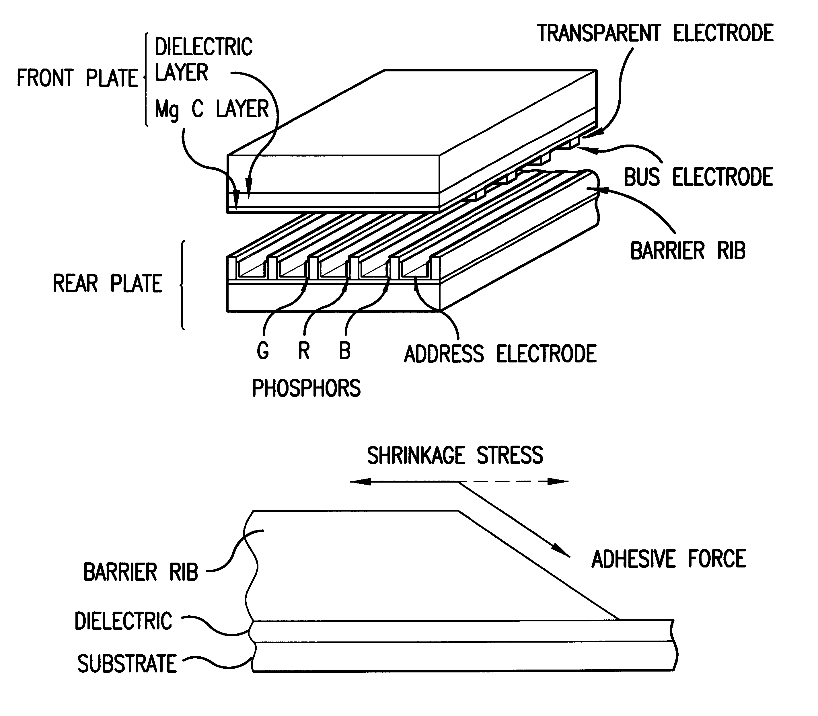 Plasma display and method for manufacturing the same