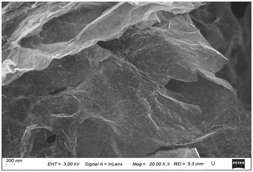 Molybdenum diselenide modified nitrogen-doped graphene composite material and preparation method thereof, and nitrogen-doped graphene-based lithium-sulfur battery positive electrode material