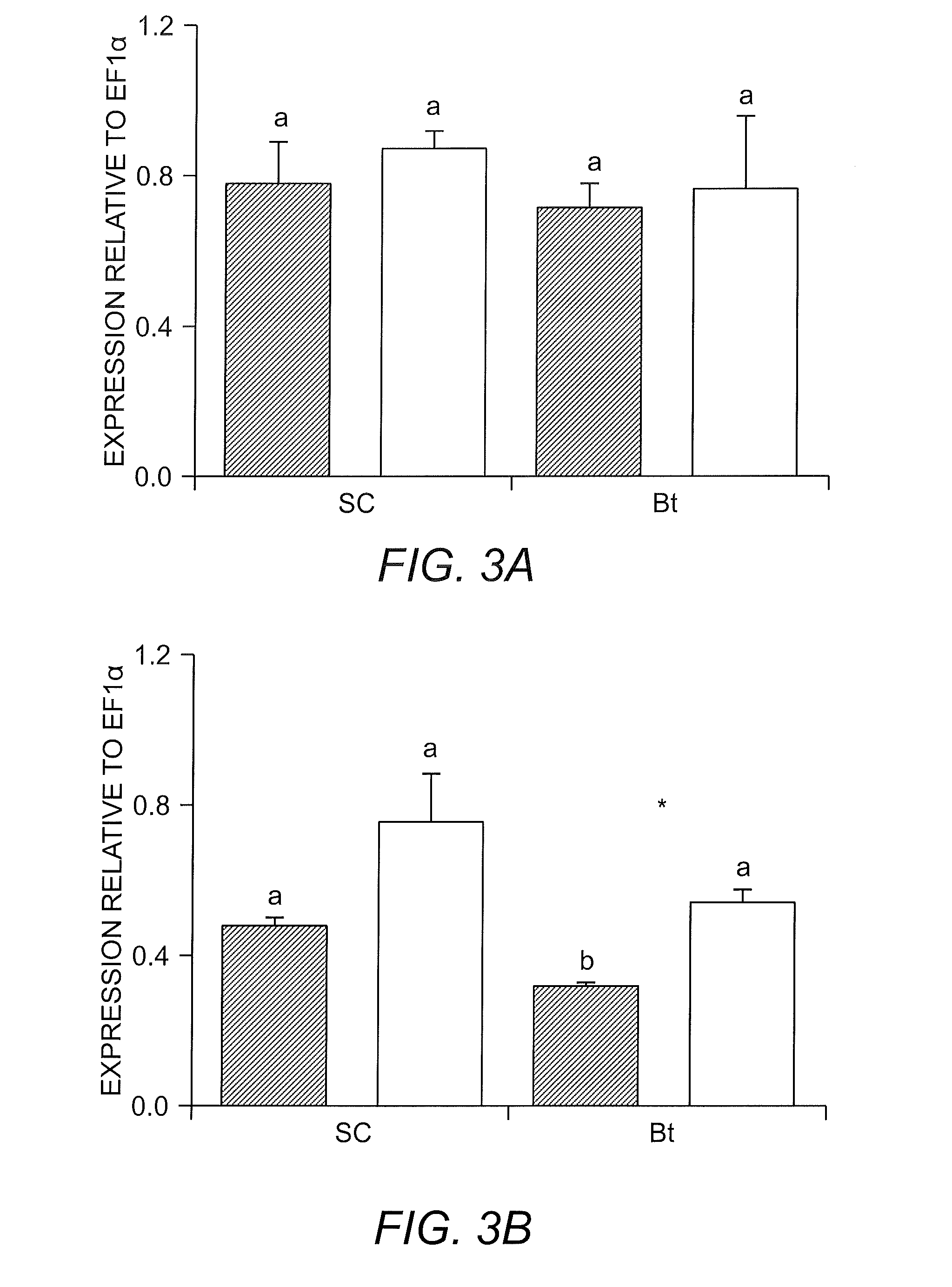 Bacillus thuringiensis toxin resistance assay