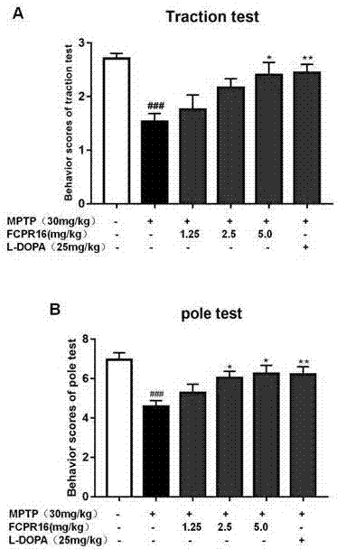 Application of PDE (phosphodiesterase)4 inhibitor