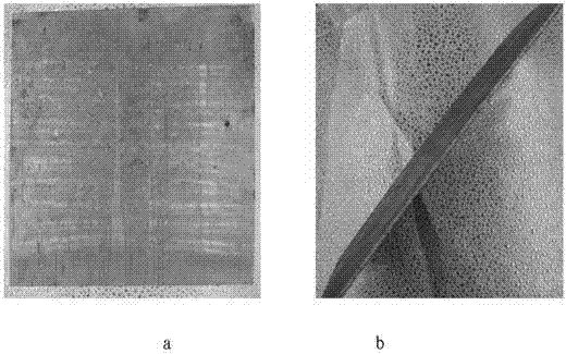 Method for casting aluminum-base composite material by adding ceramic nanoparticles