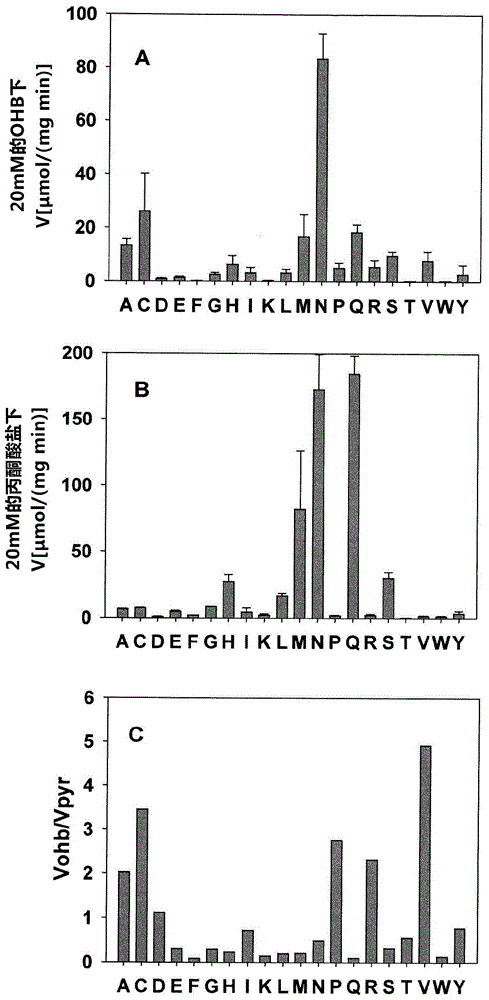 Method for the preparation of 2,4-dihydroxybutyrate