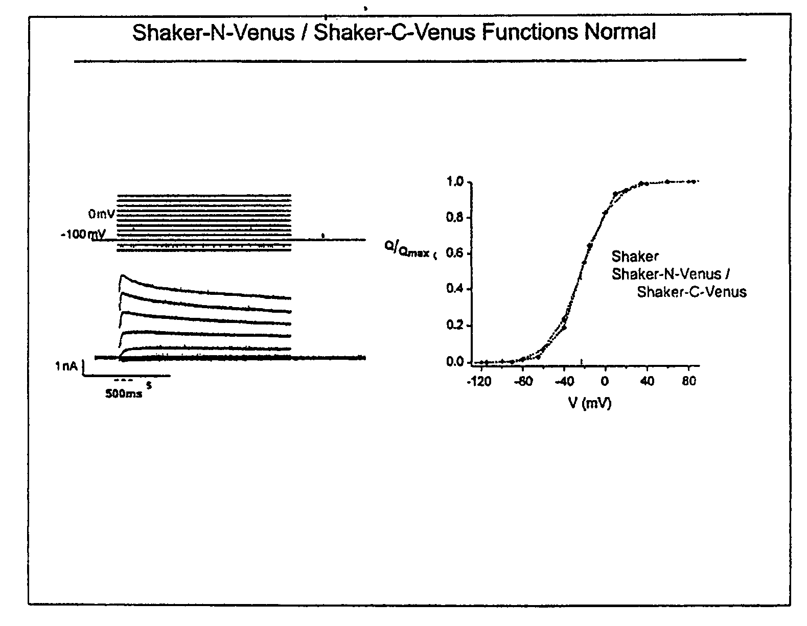 System for detecting protein-protein interactions