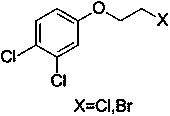 A kind of synthetic technique of increasing production amine